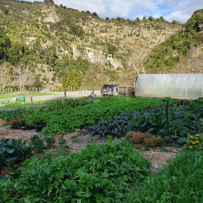 the river valley vegetable garden in winter