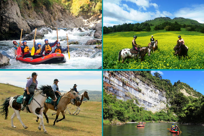 What Are the Booking Trends at River Valley for the Coming Season?