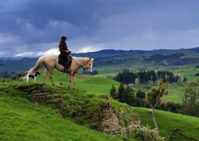 Burn The Breeze Horse Trek