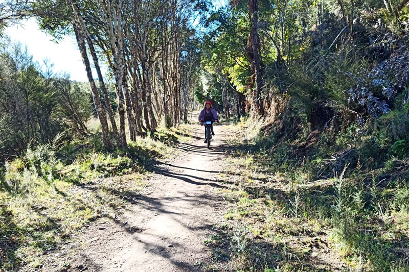 E-biking on the Timber Trail E-biking on the Timber Trail