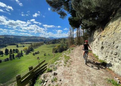A cyclist navigates the narrow trail of Inland Road, high above the river flats of the Rangitīkei River at Mokai, with Pukeokahu and Mt. Aorangi in the background.